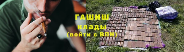 гашик Тавда