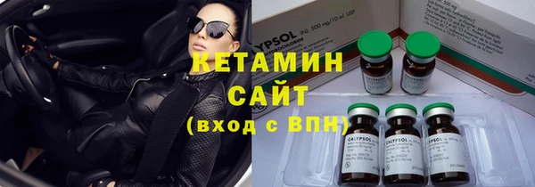 хмурый Тайга